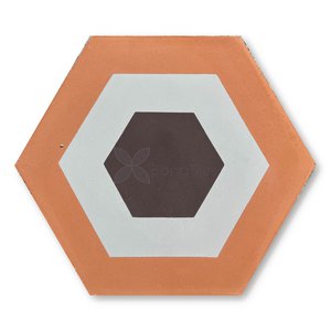 BongTiles - Encaustic handmade hexagon cement tiles B205-3