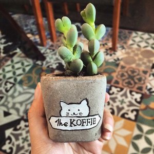 Restaurant & Coffee Shop