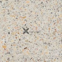 Large terrazzo tiles T6.1000.G2.Y5