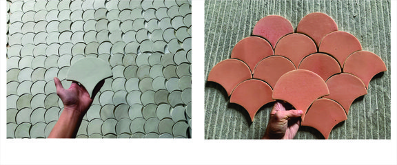 Amazing colors and shapes